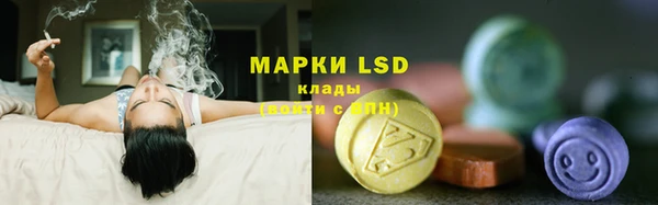 шишки Покачи