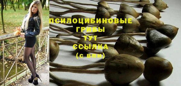 прущий лед Алзамай