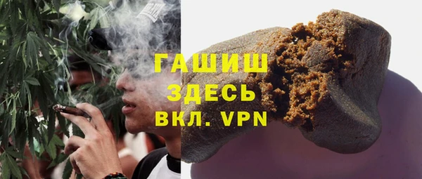 шишки Покачи