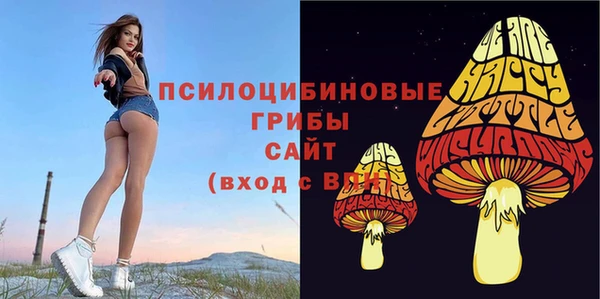 круглые Алексеевка