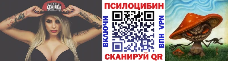 Галлюциногенные грибы Psilocybe  hydra tor  Кулебаки 
